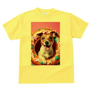 WbNbZeA TVc fB[X t@  t  vg JWA 킢 lԗp h ̃fUC ʔ h[ic WbNbZeA XvN