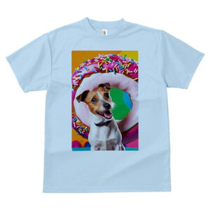 WbNbZeA TVc fB[X t@  t  vg JWA 킢 lԗp h ̃fUC ʔ h[ic WbNbZeA XvN