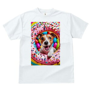 WbNbZeA TVc fB[X t@  t  vg JWA 킢 lԗp h ̃fUC ʔ h[ic WbNbZeA XvN