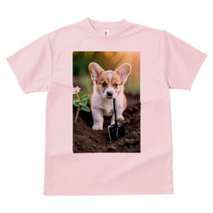 R[M[ TVc fB[X t@  t  vg JWA 킢 lԗp h ̃fUC ʔ  R[M[  Vx y