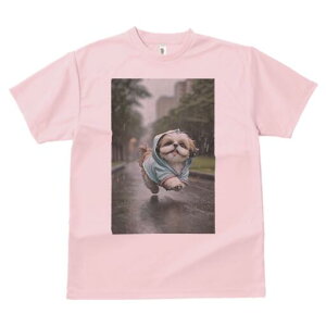 V[Y[ TVc fB[X t@  t  vg JWA 킢 lԗp h ̃fUC ʔ J V[Y[ CR[g U 