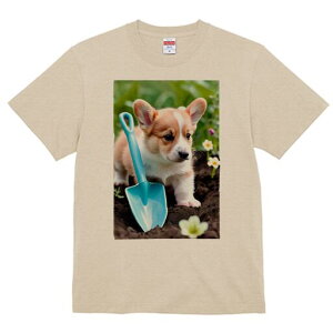 R[M[ TVc fB[X t@  t  vg JWA 킢 lԗp h ̃fUC ʔ Vx R[M[   y