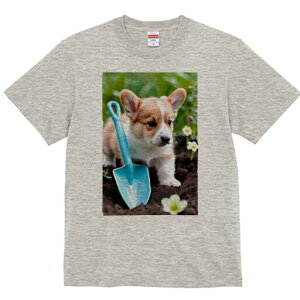 R[M[ TVc fB[X t@  t  vg JWA 킢 lԗp h ̃fUC ʔ Vx R[M[   y