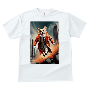 R[M[ TVc fB[X t@  t  vg JWA 킢 lԗp h ̃fUC ʔ X[c R[M[ R[g s 