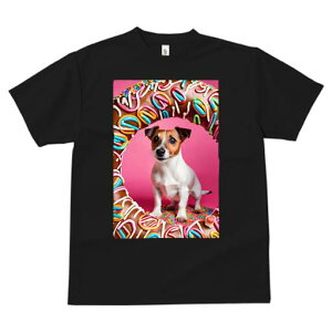 WbNbZeA TVc fB[X t@  t  vg JWA 킢 lԗp h ̃fUC ʔ h[ic WbNbZeA XC[c `