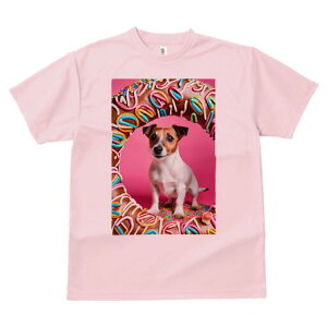 �W���b�N���b�Z���e���A T�V���c ���f�B�[�X ���t�@�� ���� �t�� ���� �v�����g �J�W���A�� ���킢�� �l�ԗp ���h ���������̃f�U�C�� �ʔ� �h�[�i�c �W���b�N���b�Z���e���A �X�C�[�c �`