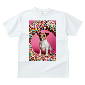 WbNbZeA TVc fB[X t@  t  vg JWA 킢 lԗp h ̃fUC ʔ h[ic WbNbZeA XC[c `