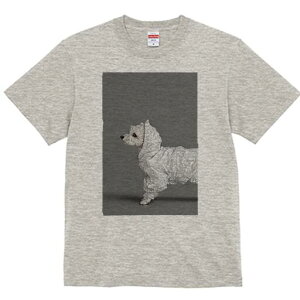 EGXgnChzCgeA TVc fB[X t@  t  vg JWA 킢 lԗp h ̃fUC ʔ CR[g EGXgnChz