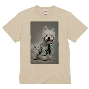 EFXeB TVc fB[X t@  t  vg JWA 킢 lԗp h ̃fUC ʔ CR[g EFXeB