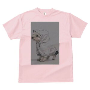 }`[Y TVc fB[X t@  t  vg JWA 킢 lԗp h ̃fUC ʔ CR[g }`[Y t[h