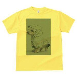 マルチーズ Tシャツ レディース 犬ファン 半袖 春夏 犬柄 プリント カジュアル かわいい 人間用 個性派 ここだけのデザイン 面白 レインコート マルチーズ フード