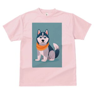 VxAnXL[ TVc fB[X t@  t  vg JWA 킢 lԗp h ̃fUC ʔ XJ[t VxAnXL[