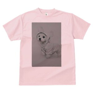 マルチーズ Tシャツ レディース 犬ファン 半袖 春夏 犬柄 プリント カジュアル かわいい 人間用 個性派 ここだけのデザイン 面白 レインコート マルチーズ