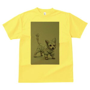 }`[Y TVc fB[X t@  t  vg JWA 킢 lԗp h ̃fUC ʔ CR[g }`[Y