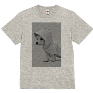 ウエストハイランドホワイトテリア Tシャツ レディース 犬ファン 半袖 春夏 犬柄 プリント カジュアル かわいい 人間用 個性派 ここだけのデザイン 面白 レインコート ウエストハイランドホ