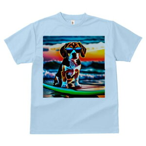 r[O TVc Y LbY t@  t  vg JWA 킢 lԗp h ̃fUC ʔ TOX r[O T[tB