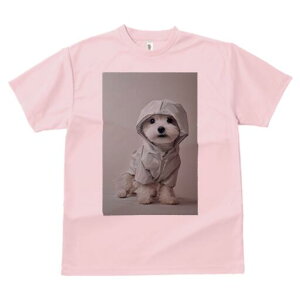 }`[Y TVc fB[X t@  t  vg JWA 킢 lԗp h ̃fUC ʔ CR[g }`[Y t[h