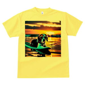 r[O TVc fB[X t@  t  vg JWA 킢 lԗp h ̃fUC ʔ TOX r[O T[t{[h C [Ă