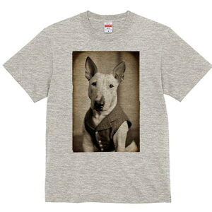 ueA TVc fB[X t@  t  vg JWA 킢 lԗp h ̃fUC ʔ xXg ueA 