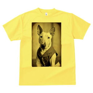 ueA TVc fB[X t@  t  vg JWA 킢 lԗp h ̃fUC ʔ xXg ueA 