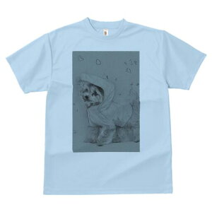 }`[Y TVc fB[X t@  t  vg JWA 킢 lԗp h ̃fUC ʔ CR[g }`[Y J