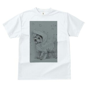 マルチーズ Tシャツ レディース 犬ファン 半袖 春夏 犬柄 プリント カジュアル かわいい 人間用 個性派 ここだけのデザイン 面白 レインコート マルチーズ 雨