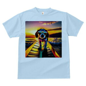 r[O TVc fB[X t@  t  vg JWA 킢 lԗp h ̃fUC ʔ T[tB r[O C [Ă TOX