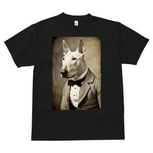 ueA TVc fB[X t@  t  vg JWA 킢 lԗp h ̃fUC ʔ X[c ueA lN^C 