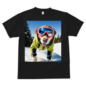 r[O TVc fB[X t@  t  vg JWA 킢 lԗp h ̃fUC ʔ XL[ r[O ~  XL[EFA