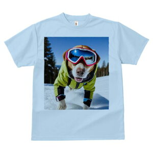 r[O TVc Y LbY t@  t  vg JWA 킢 lԗp h ̃fUC ʔ XL[ r[O ~  XL[EFA