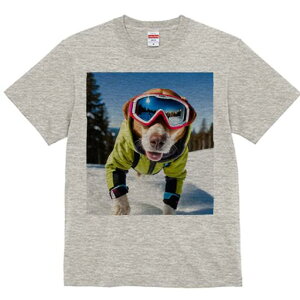 r[O TVc fB[X t@  t  vg JWA 킢 lԗp h ̃fUC ʔ XL[ r[O ~  XL[EFA