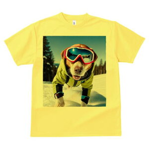 r[O TVc fB[X t@  t  vg JWA 킢 lԗp h ̃fUC ʔ XL[ r[O ~  XL[EFA