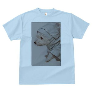 }`[Y TVc fB[X t@  t  vg JWA 킢 lԗp h ̃fUC ʔ }`[Y