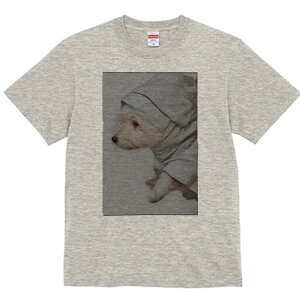 }`[Y TVc fB[X t@  t  vg JWA 킢 lԗp h ̃fUC ʔ }`[Y