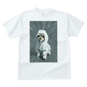 }`[Y,[NV[eA TVc fB[X t@  t  vg JWA 킢 lԗp h ̃fUC ʔ t[htWPbg }`[Y,[