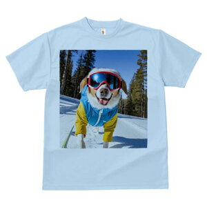 R[M[ TVc fB[X t@  t  vg JWA 킢 lԗp h ̃fUC ʔ XL[ R[M[ XL[EFA S[O R