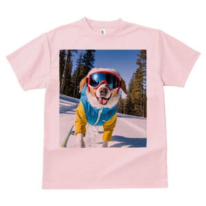 R[M[ TVc fB[X t@  t  vg JWA 킢 lԗp h ̃fUC ʔ XL[ R[M[ XL[EFA S[O R