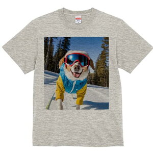 R[M[ TVc fB[X t@  t  vg JWA 킢 lԗp h ̃fUC ʔ XL[ R[M[ XL[EFA S[O R