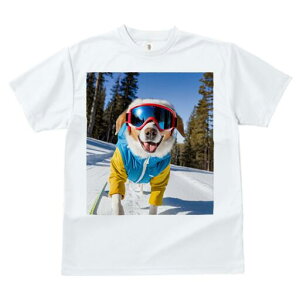 R[M[ TVc fB[X t@  t  vg JWA 킢 lԗp h ̃fUC ʔ XL[ R[M[ XL[EFA S[O R