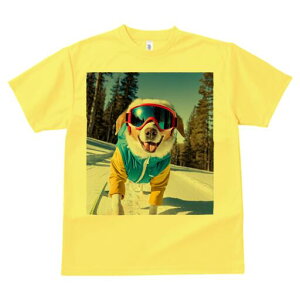 R[M[ TVc Y LbY t@  t  vg JWA 킢 lԗp h ̃fUC ʔ XL[ R[M[ XL[EFA S[O R