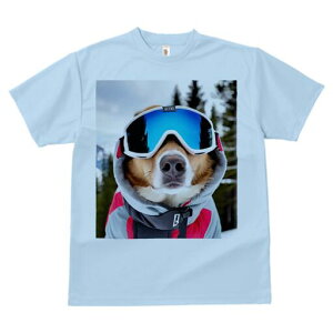 {[_[R[ TVc Y LbY t@  t  vg JWA 킢 lԗp h ̃fUC ʔ XL[EFA {[_[R[ XL[S[O