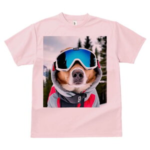 {[_[R[ TVc fB[X t@  t  vg JWA 킢 lԗp h ̃fUC ʔ XL[EFA {[_[R[ XL[S[O