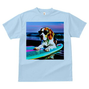 r[O TVc fB[X t@  t  vg JWA 킢 lԗp h ̃fUC ʔ TOX r[O T[t{[h C