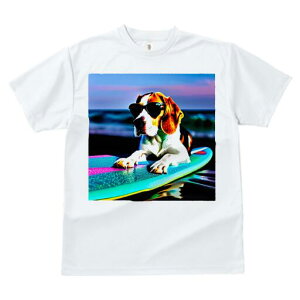 r[O TVc fB[X t@  t  vg JWA 킢 lԗp h ̃fUC ʔ TOX r[O T[t{[h C