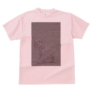 yLj[Y TVc fB[X t@  t  vg JWA 킢 lԗp h ̃fUC ʔ yLj[Y