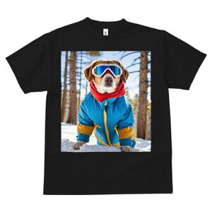 r[O TVc fB[X t@  t  vg JWA 킢 lԗp h ̃fUC ʔ XL[EFA r[O S[O 