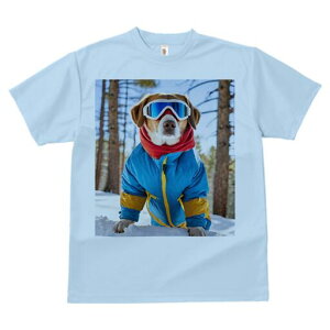 r[O TVc fB[X t@  t  vg JWA 킢 lԗp h ̃fUC ʔ XL[EFA r[O S[O 