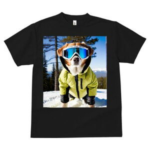 {[_[R[ TVc fB[X t@  t  vg JWA 킢 lԗp h ̃fUC ʔ XL[ {[_[R[ XL[EFA R S[O