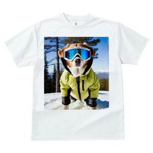 {[_[R[ TVc fB[X t@  t  vg JWA 킢 lԗp h ̃fUC ʔ XL[ {[_[R[ XL[EFA R S[O