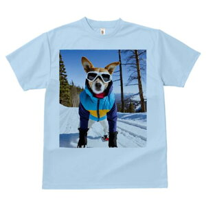 WbNbZeA TVc fB[X t@  t  vg JWA 킢 lԗp h ̃fUC ʔ XL[ WbNbZeA ~  XL[E